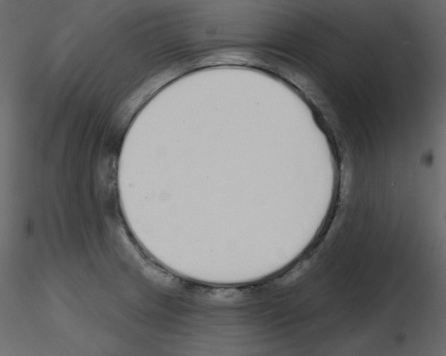 X0000115711233200912241537