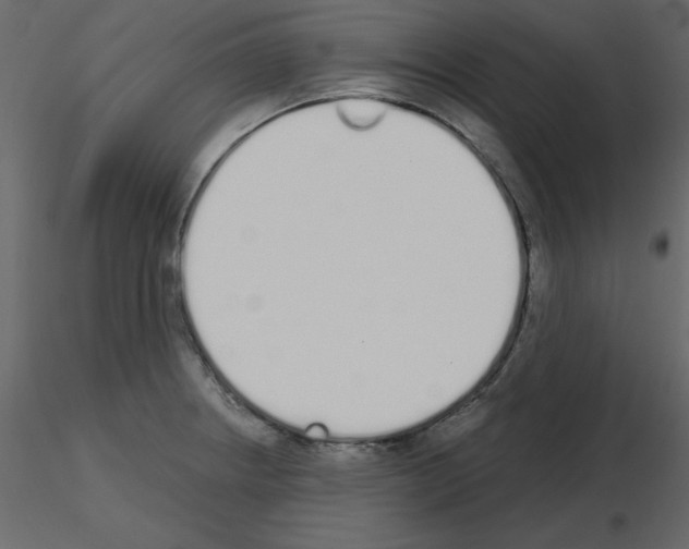 X0000115711234200912241537