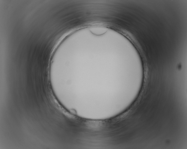 X0000115711236200912241537