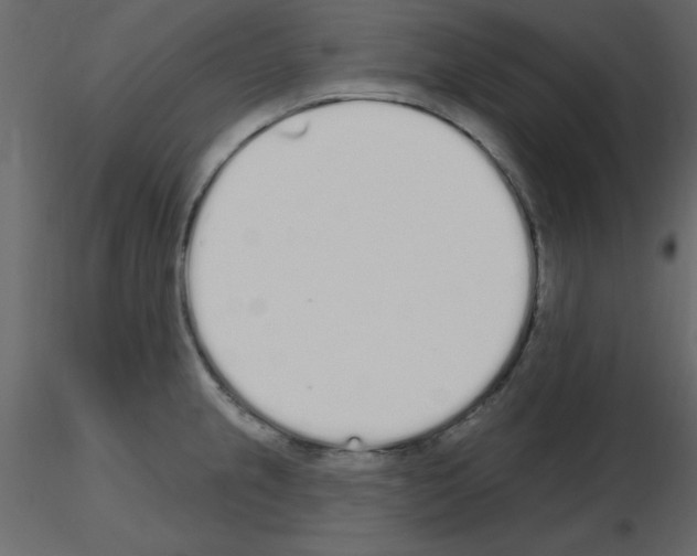 X0000115711237200912241537