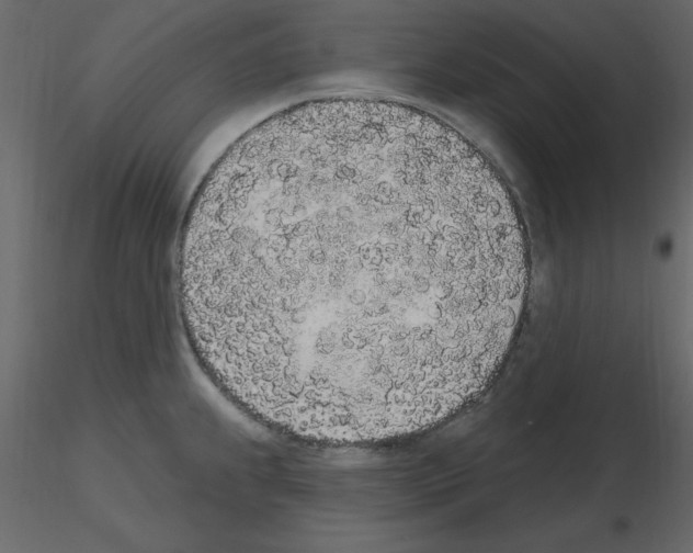 X0000115711239200912241537