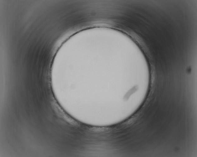 X0000115711240200912241537