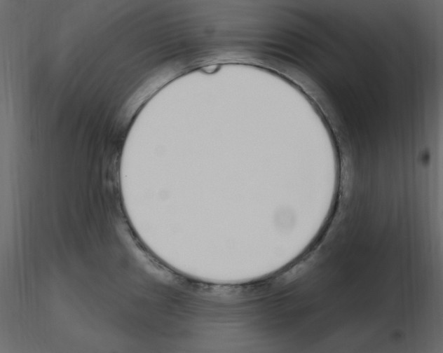 X0000115711241200912241537