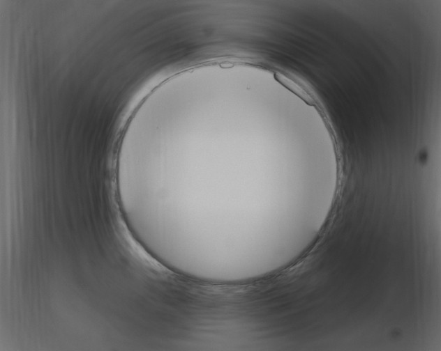 X0000115711243200912241537