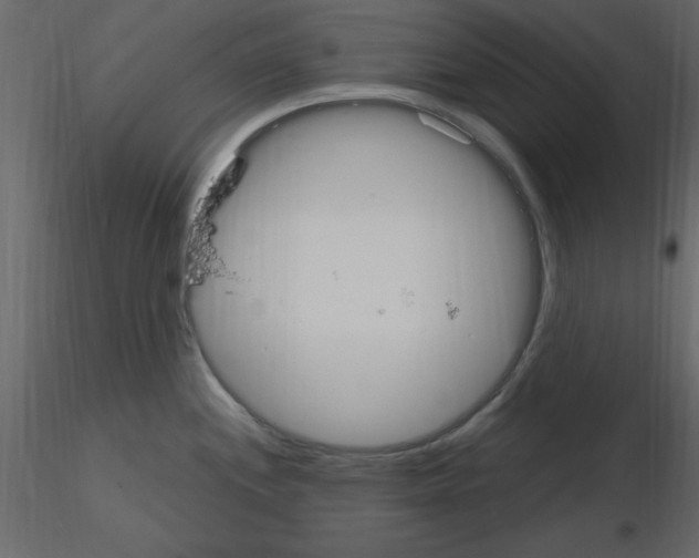 X0000115711244200912241537