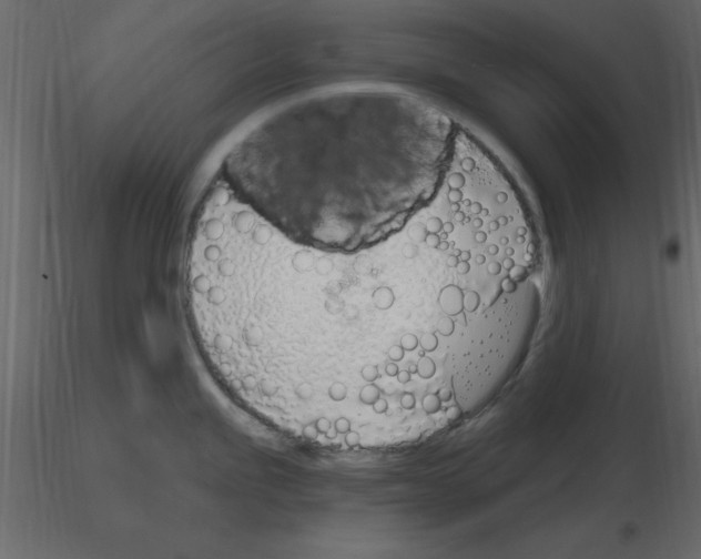 X0000115711245200912241537