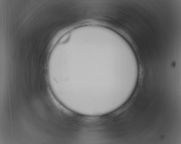 X0000115711247200912241537