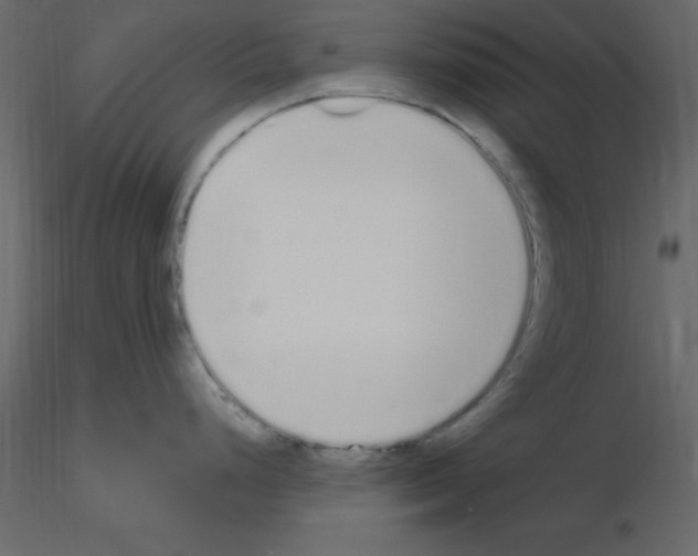 X0000115711248200912241537