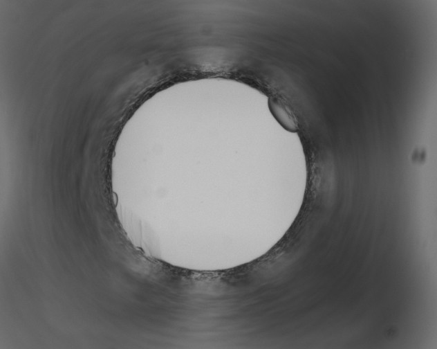 X0000115711249200912241536