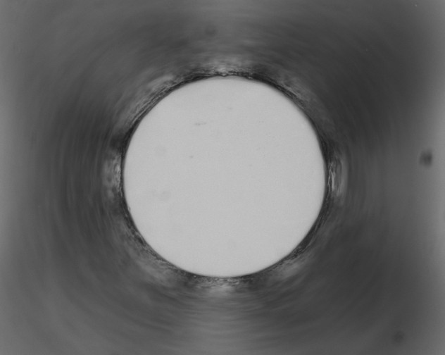 X0000115711251200912241536