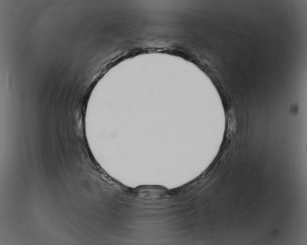 X0000115711252200912241536