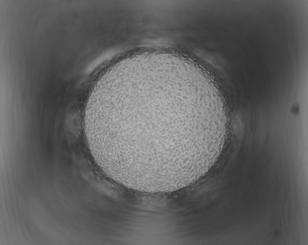 X0000115711254200912241536