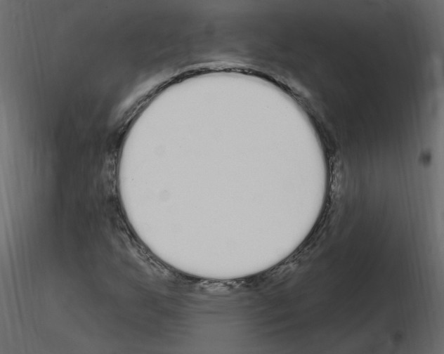 X0000115711255200912241536