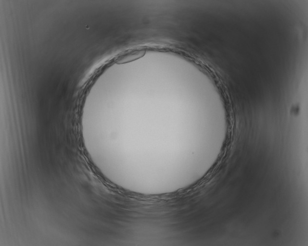 X0000115711256200912241536