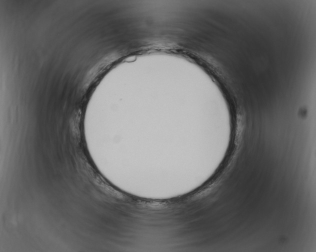 X0000115711257200912241536