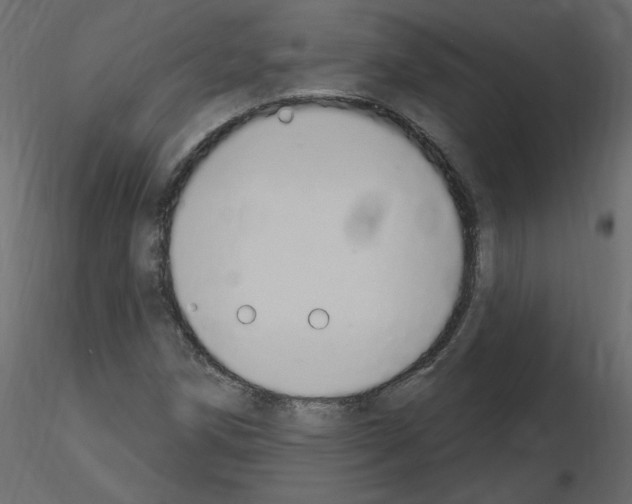 X0000115711258200912241536