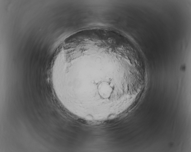 X0000115711259200912241536