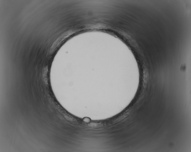 X0000115711265200912241536