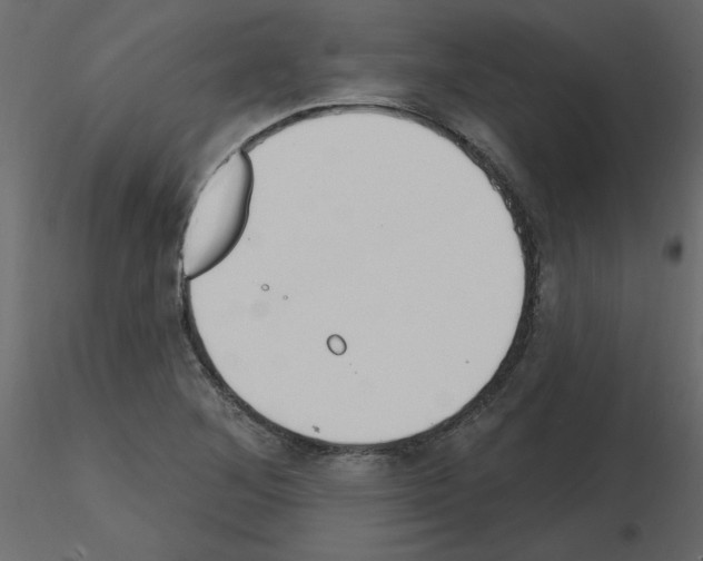 X0000115711268200912241536