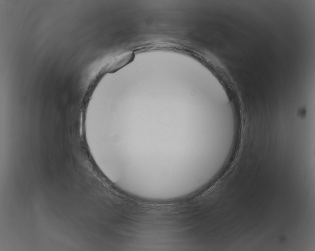 X0000115711269200912241536