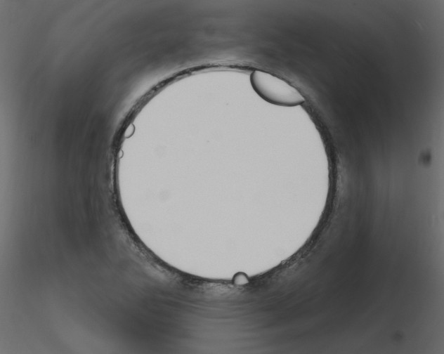 X0000115711270200912241536