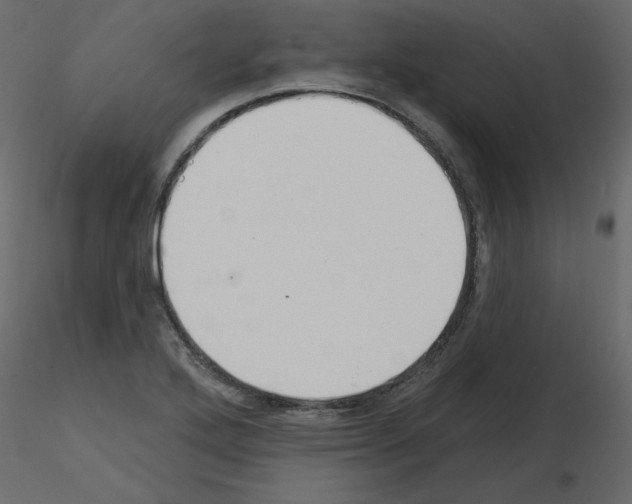 X0000115711272200912241536