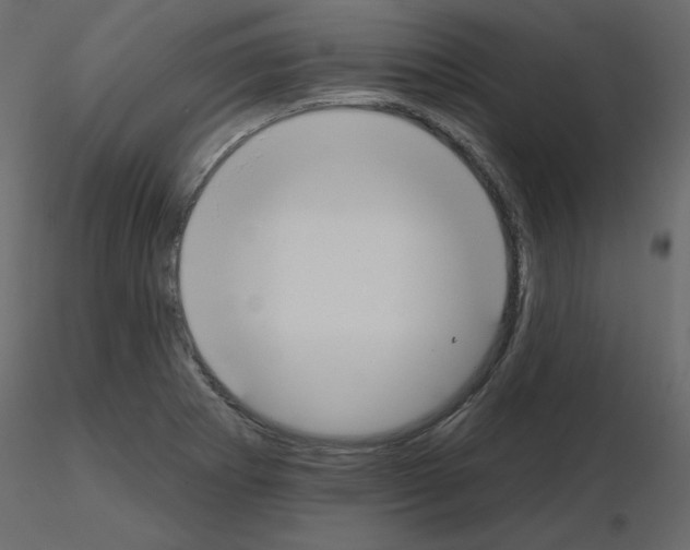 X0000115711273200912241536