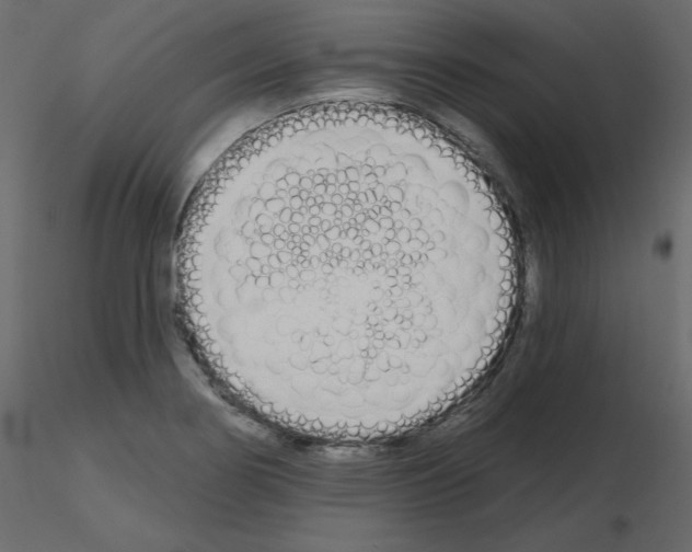 X0000115711274200912241536