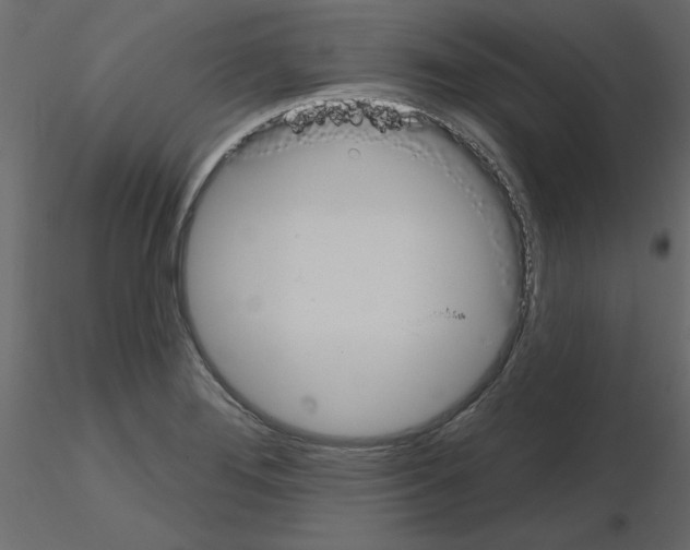 X0000115711276200912241536