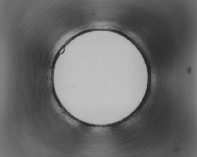 X0000115711277200912241536