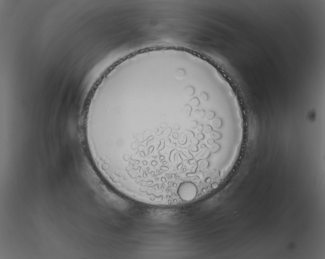 X0000115711278200912241536