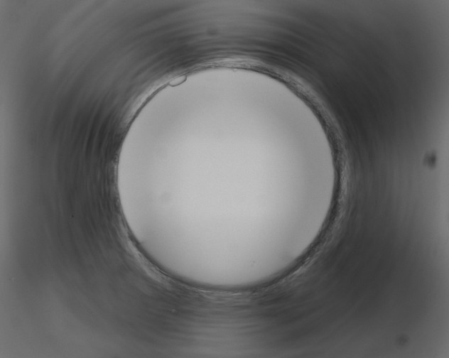 X0000115711281200912241536