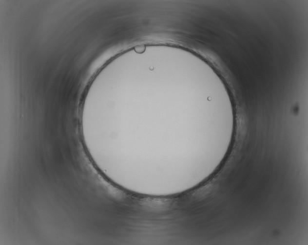 X0000115711286200912241536