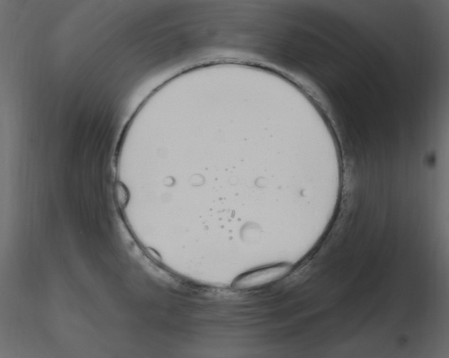 X0000115711287200912241536