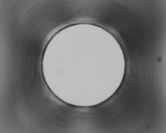 X0000115711288200912241536