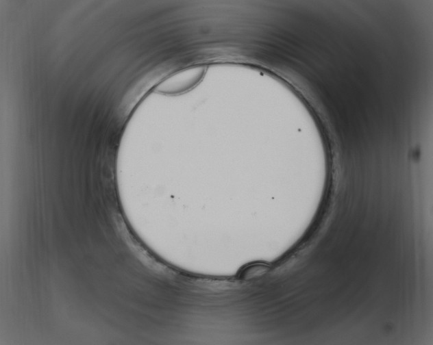 X0000115711289200912241536