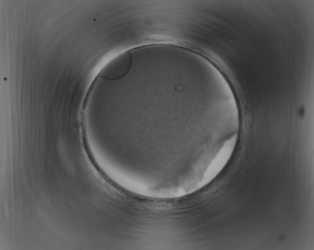 X0000115711291200912241536