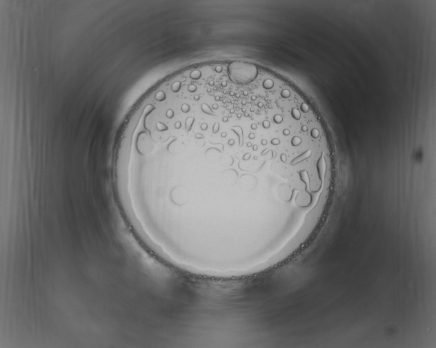 X0000115711294200912241536