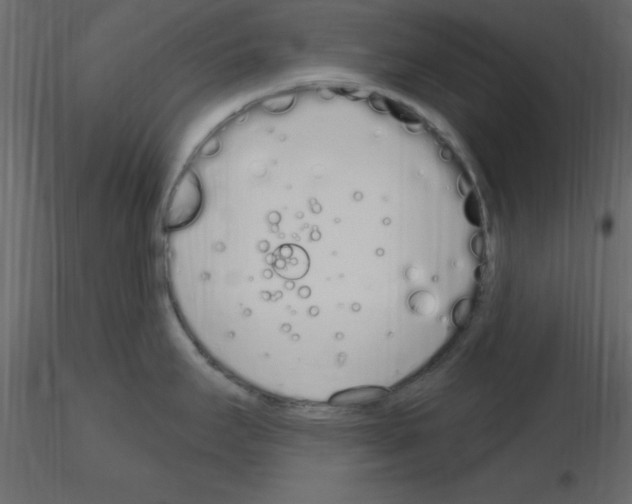 X0000115711295200912241536