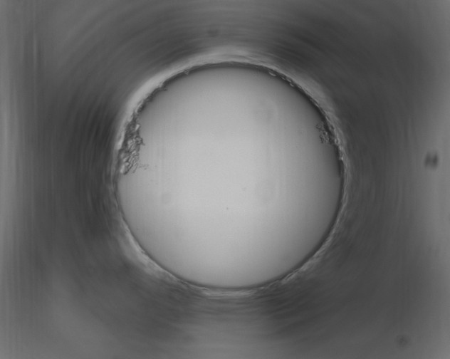 X0000115711296200912241536