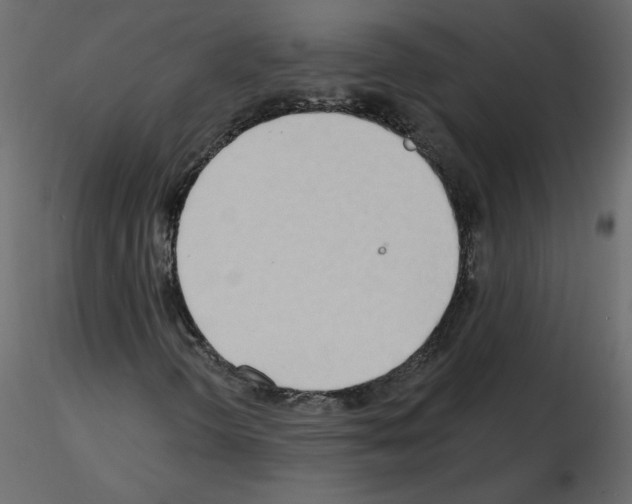 X0000115711298200912241535