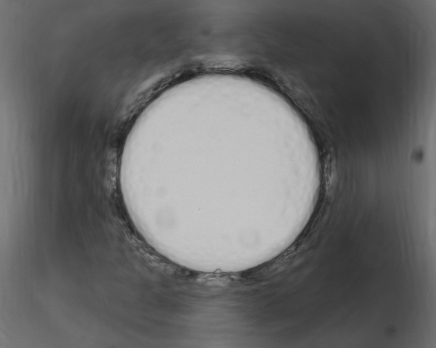 X0000115711301200912241535