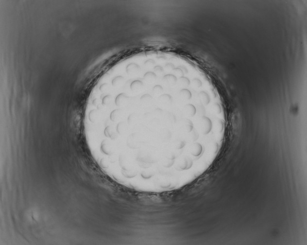 X0000115711302200912241535