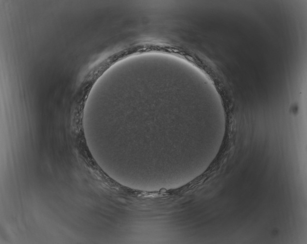 X0000115711303200912241535