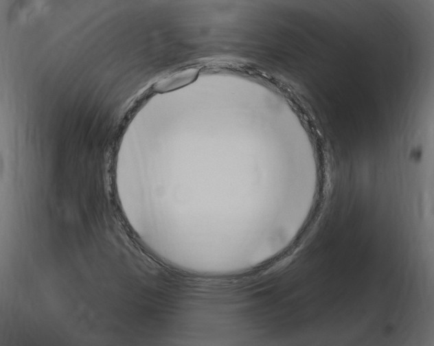 X0000115711305200912241535