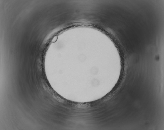 X0000115711307200912241535