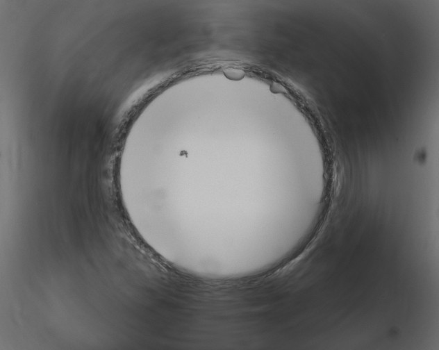 X0000115711309200912241535