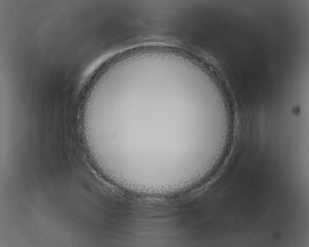 X0000115711310200912241535