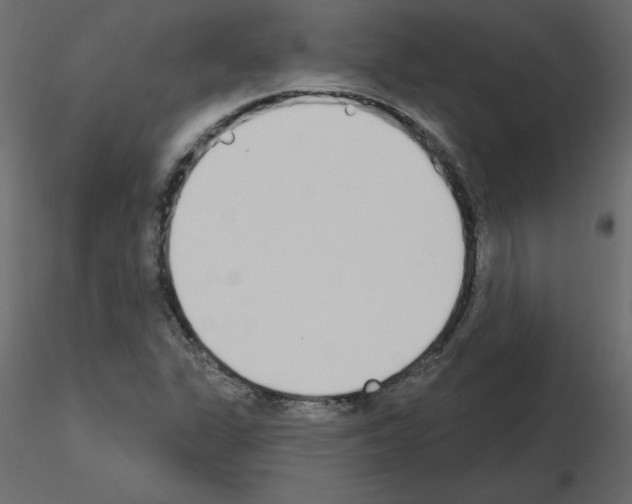 X0000115711311200912241535