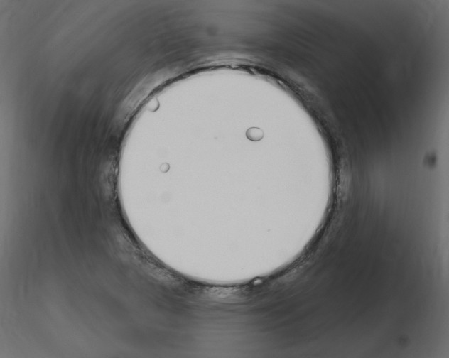 X0000115711313200912241535